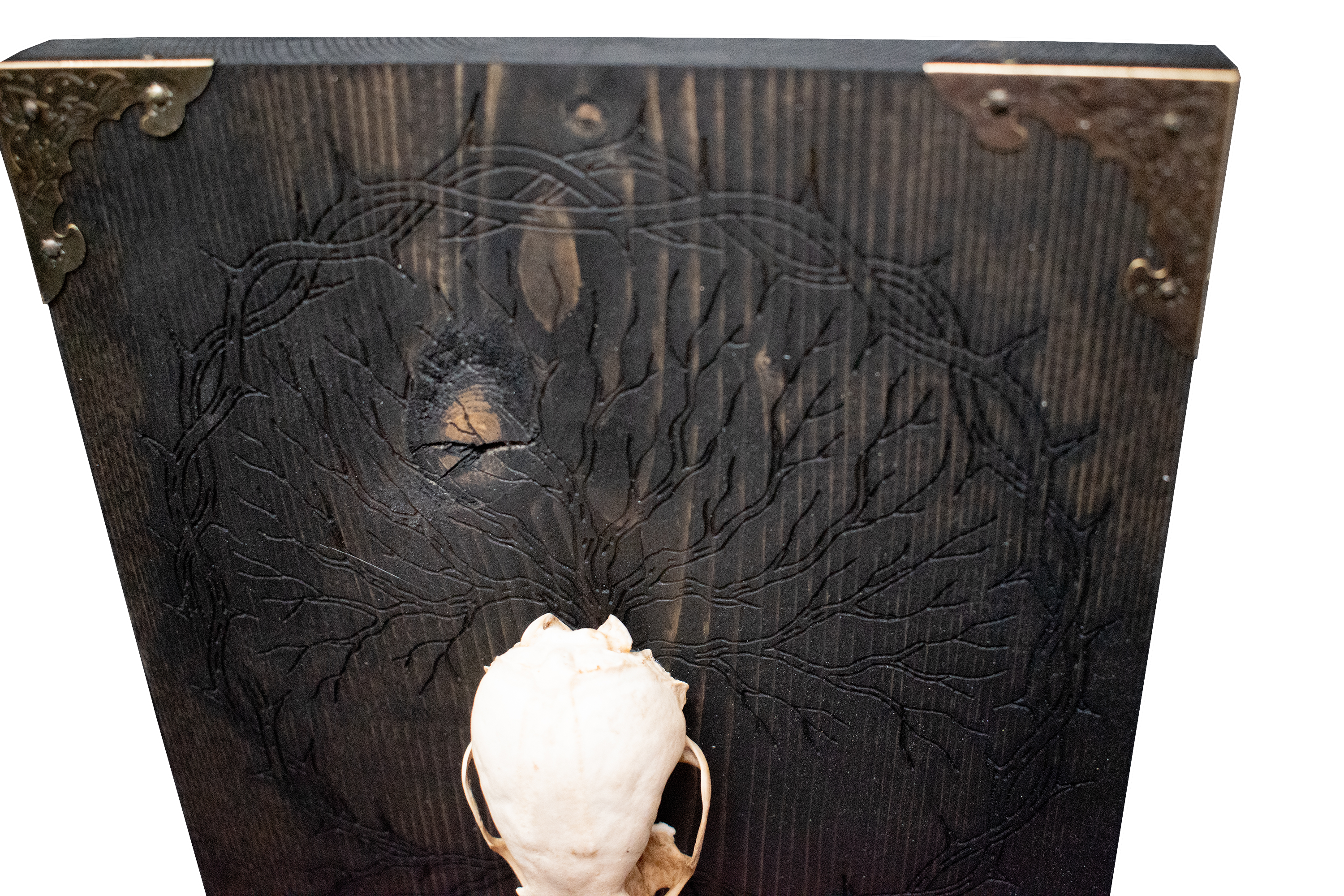 Weasel Skull and Yggdrasil Altar