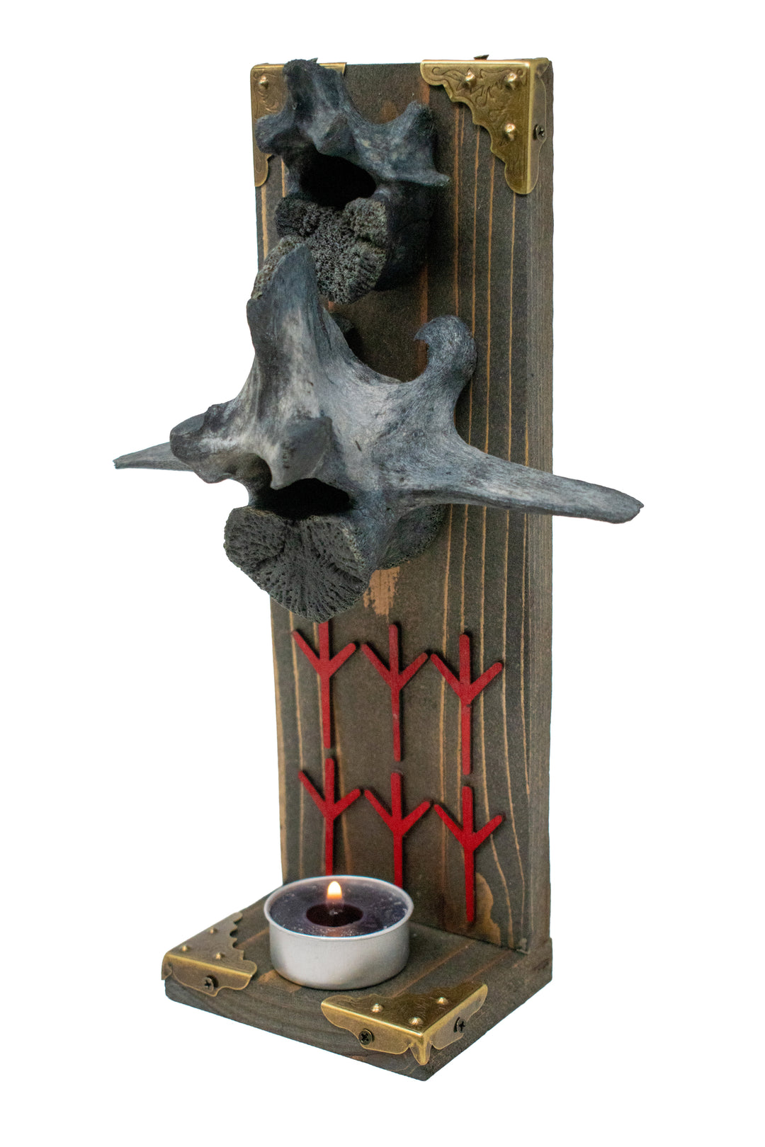 Blackened Deer and Elk Vertebra Algiz Altar