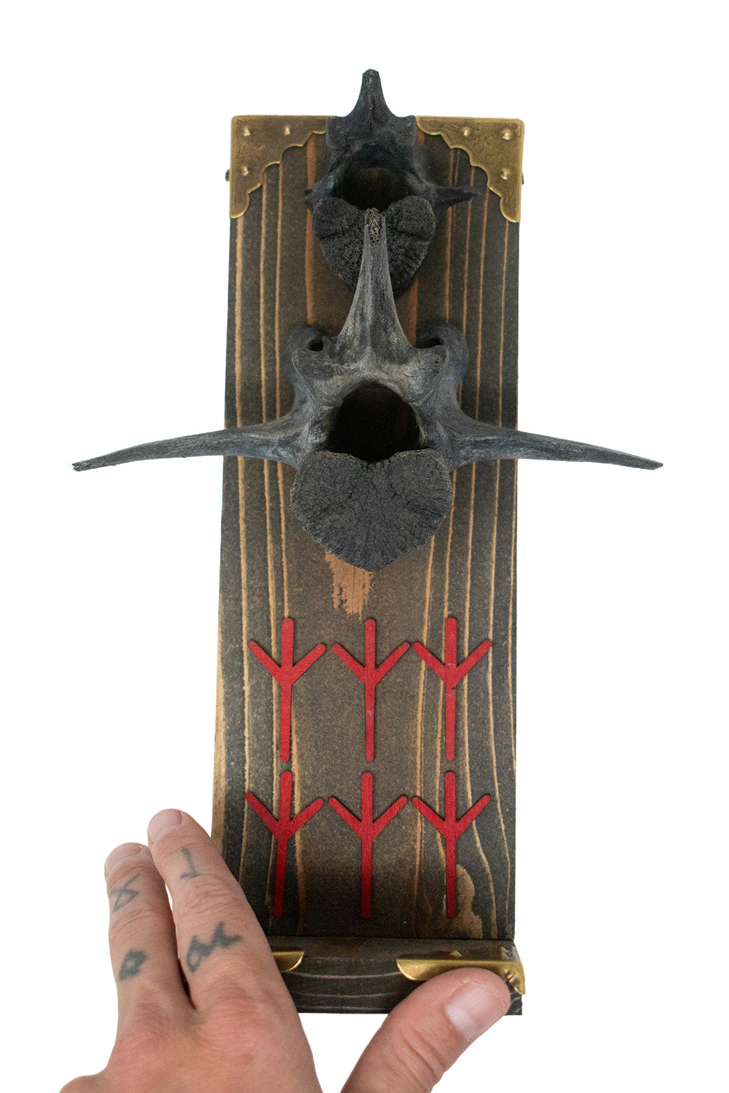 Blackened Deer and Elk Vertebra Algiz Altar