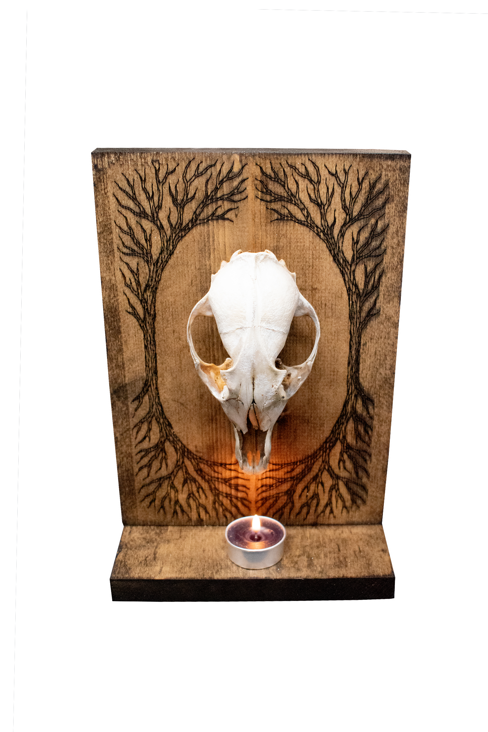 Coyote Skull and Yggdrasil Altar