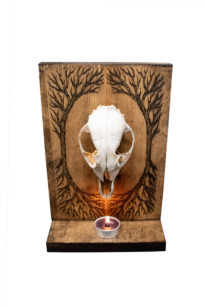 Coyote Skull and Yggdrasil Altar