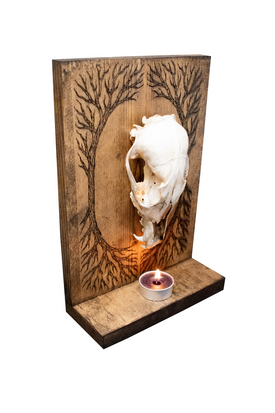 Coyote Skull and Yggdrasil Altar