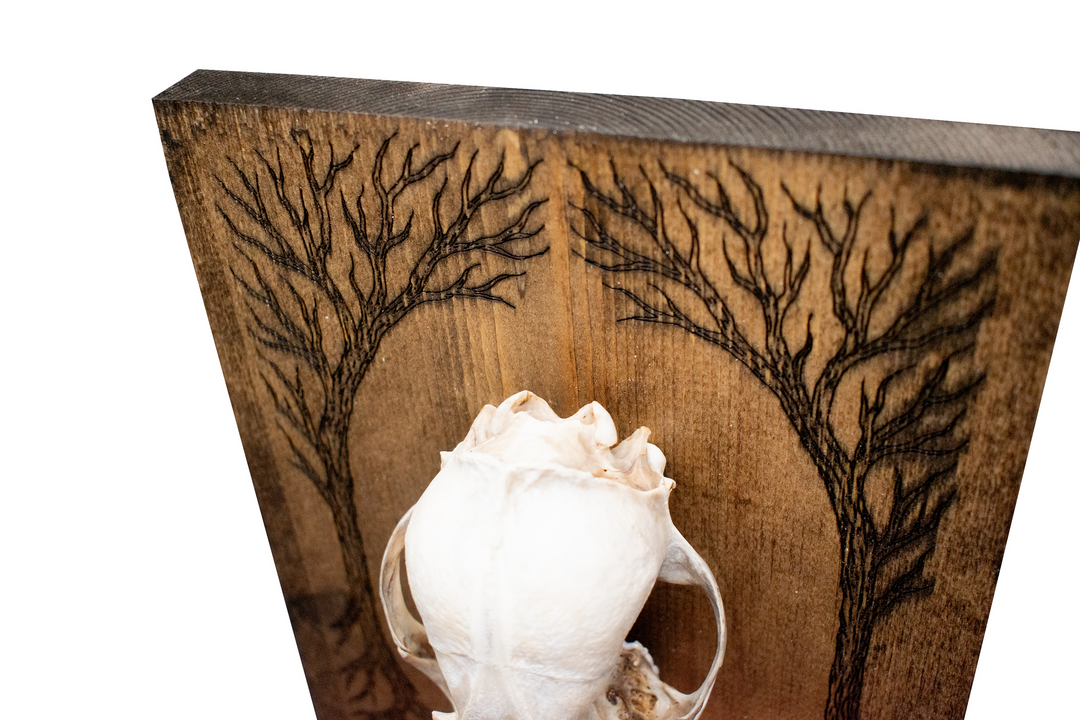 Coyote Skull and Yggdrasil Altar