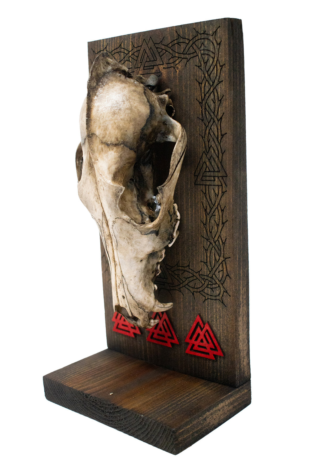 Decrepit Coyote Skull Valknut Altar