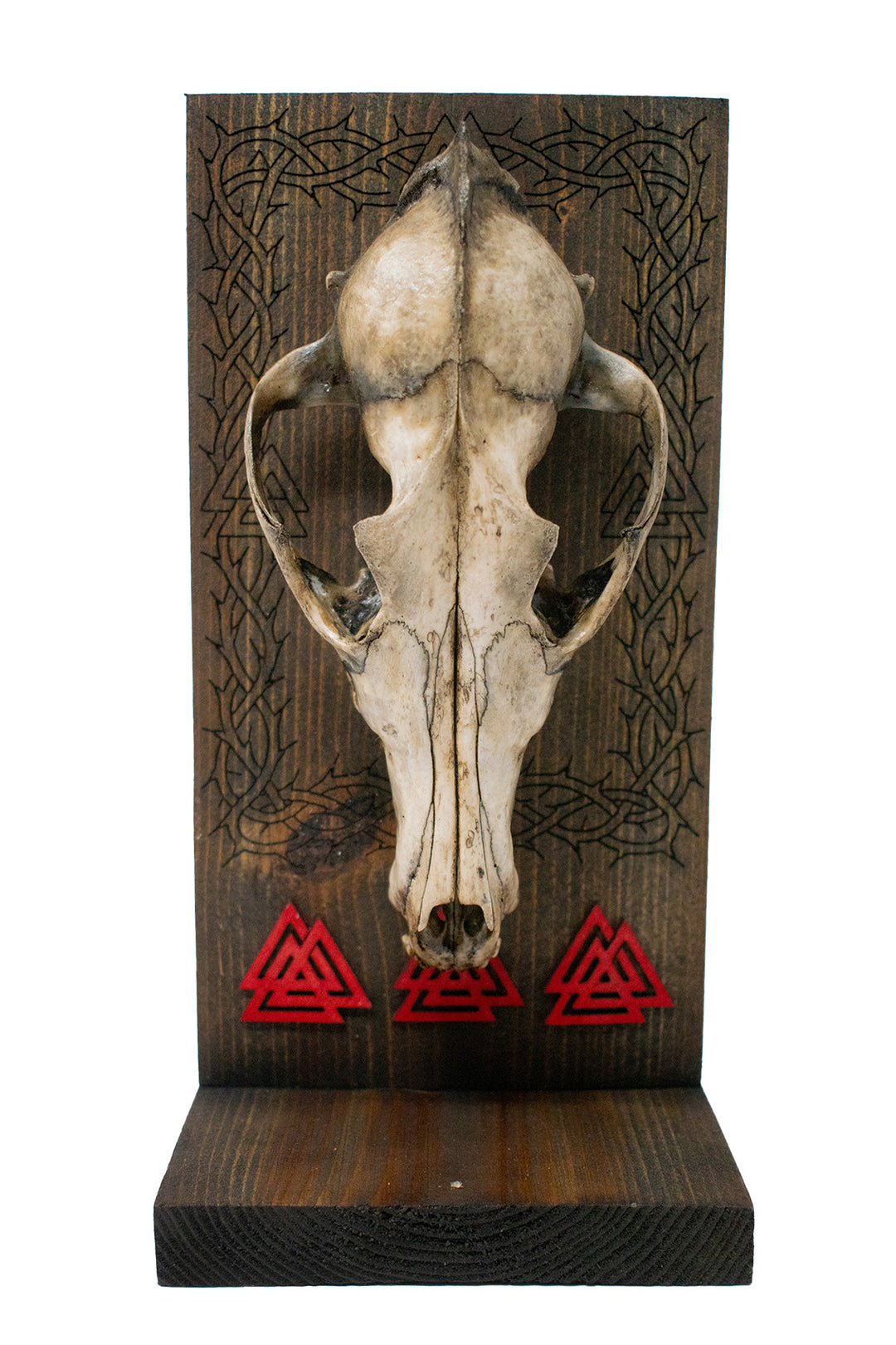 Decrepit Coyote Skull Valknut Altar