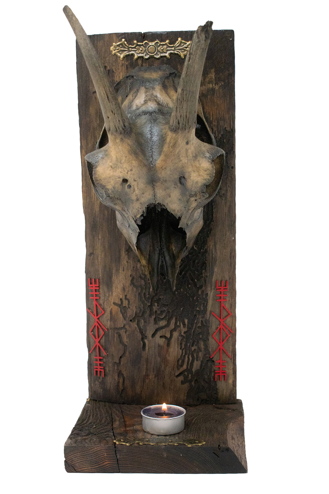Decrepit Goat Skull Thor Bindrune Altar