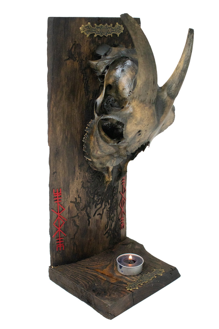 Decrepit Goat Skull Thor Bindrune Altar