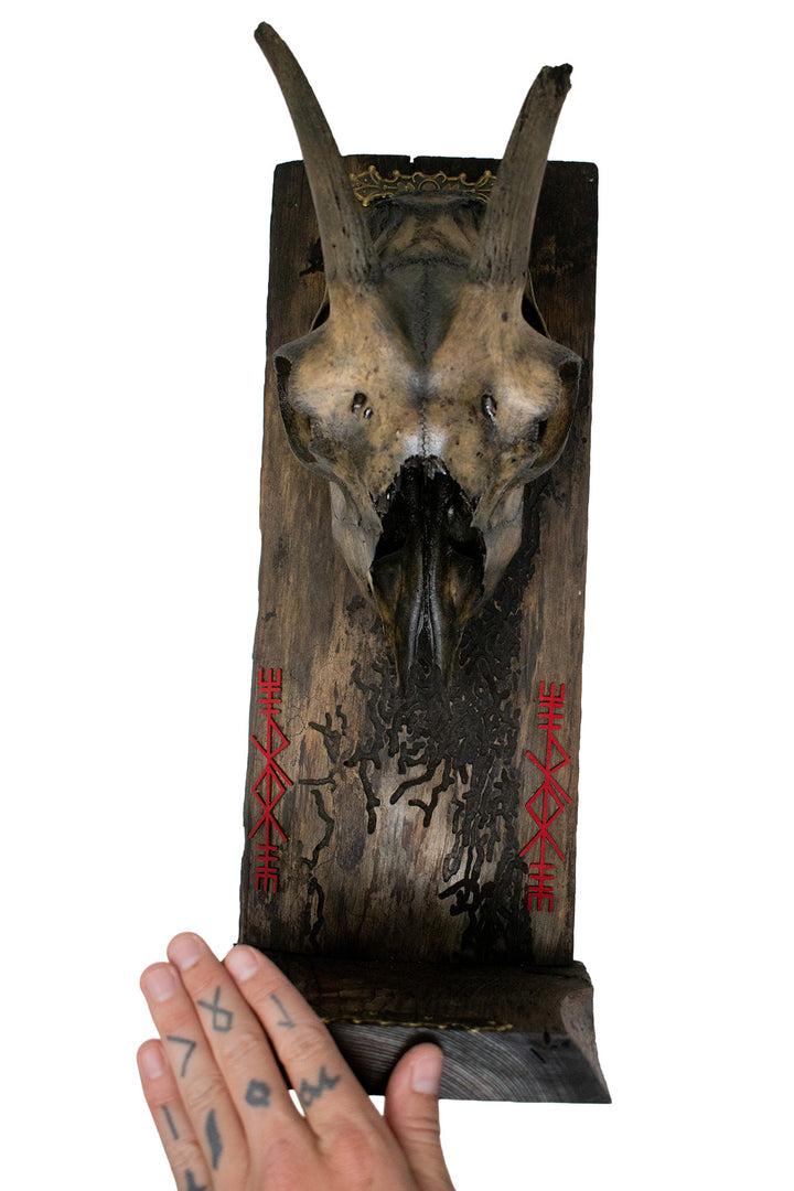 Decrepit Goat Skull Thor Bindrune Altar
