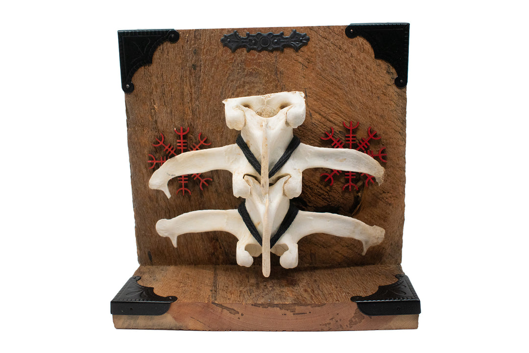 Elk Spine Helm of Awe Altar