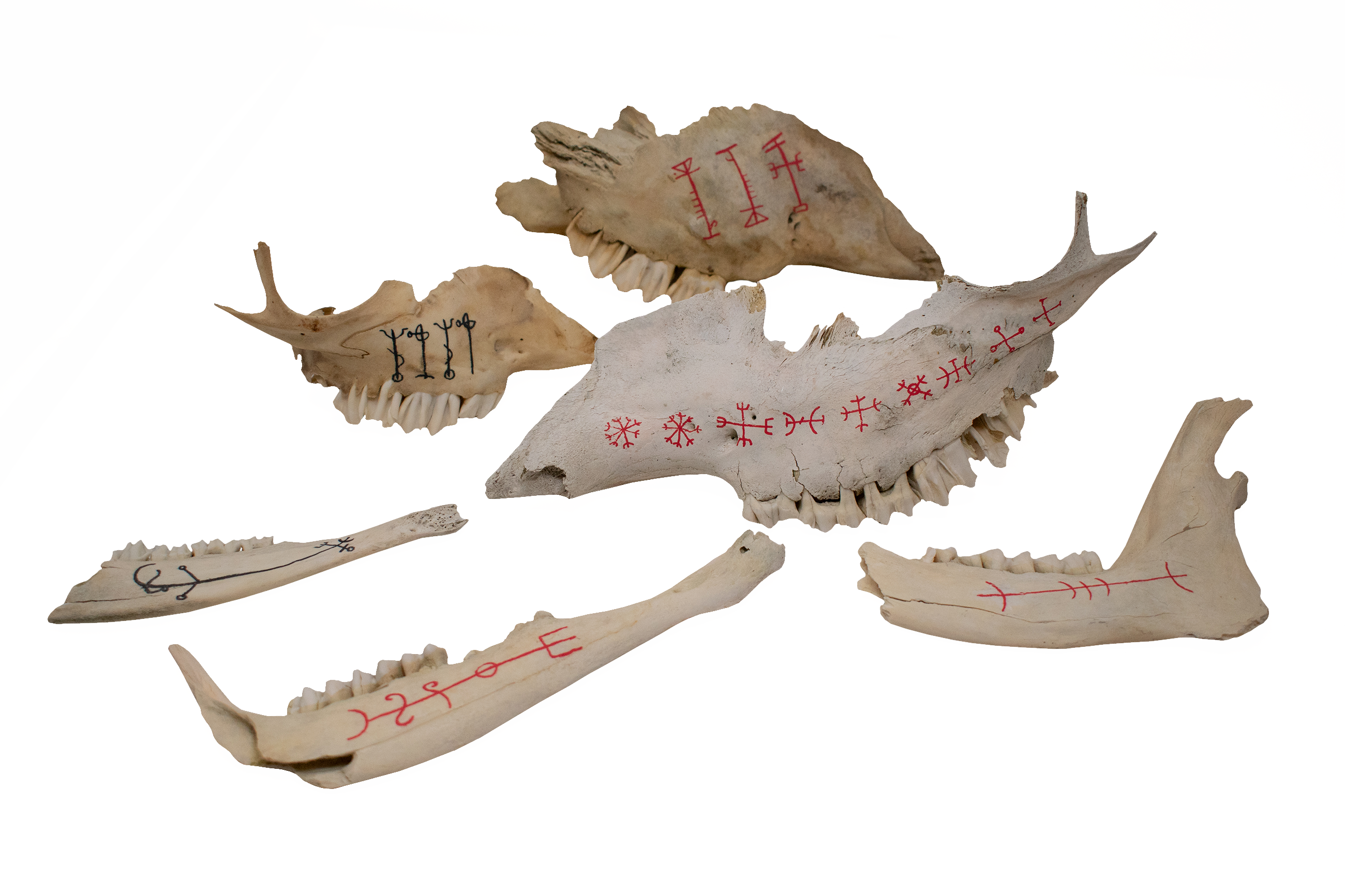 Mystery Icelandic Stave Bone Talisman