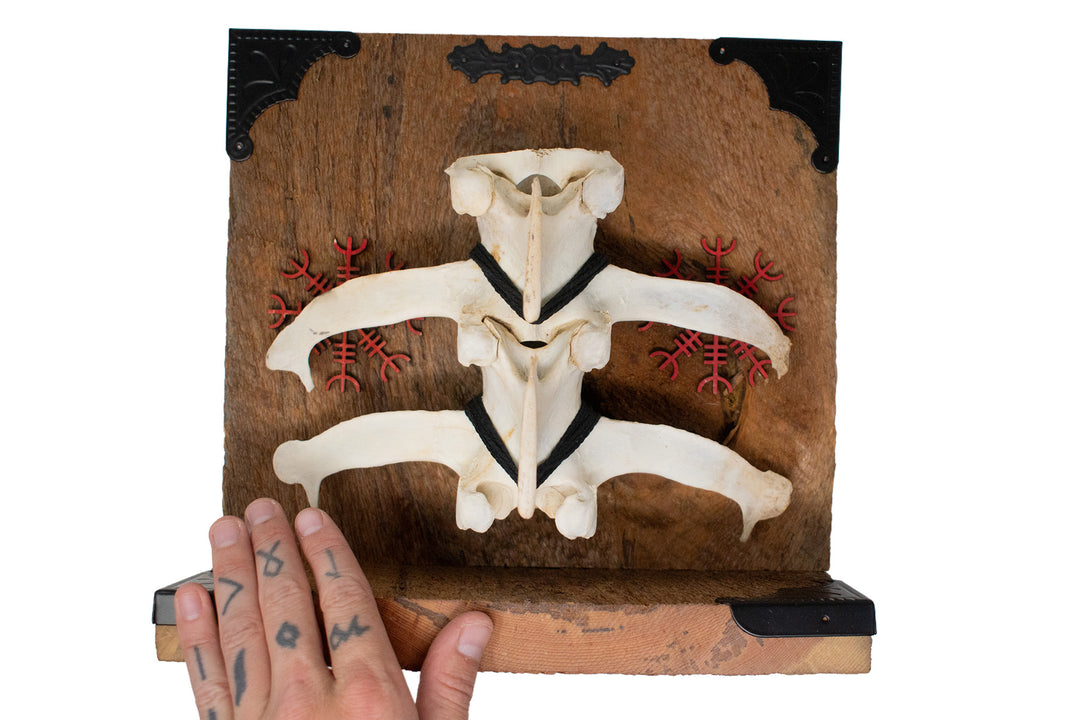 Elk Spine Helm of Awe Altar
