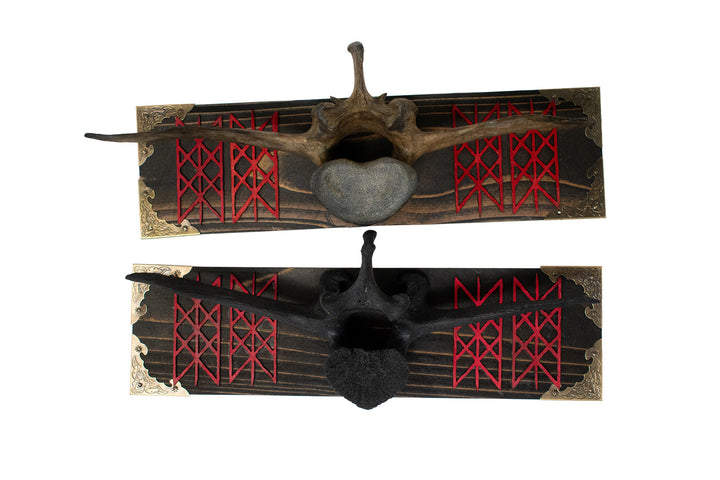 Cow Vertebra Web of Wyrd Wall Hanger