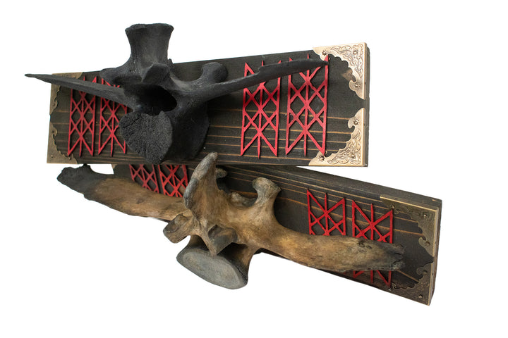 Cow Vertebra Web of Wyrd Wall Hanger