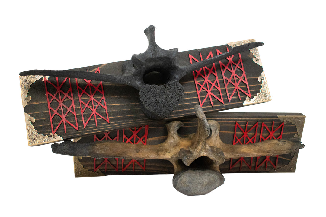 Cow Vertebra Web of Wyrd Wall Hanger