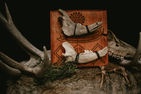 Image of jawbone viking ship petroglyph and rune wall hanger