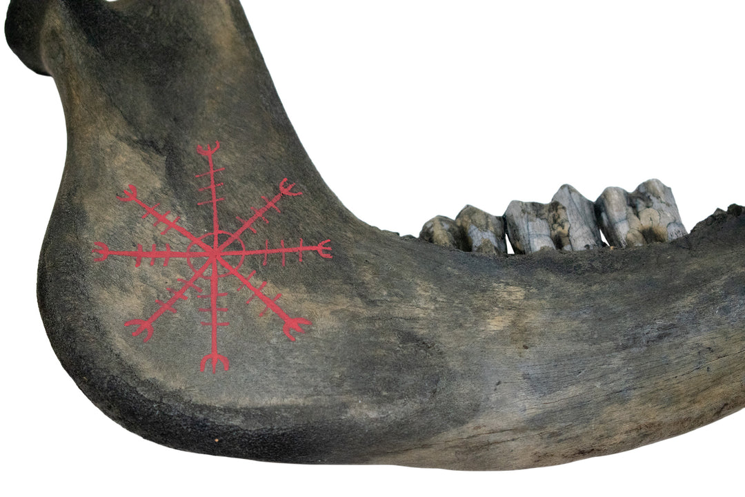 Blackened Helm of Awe Cow Jawbone Talisman