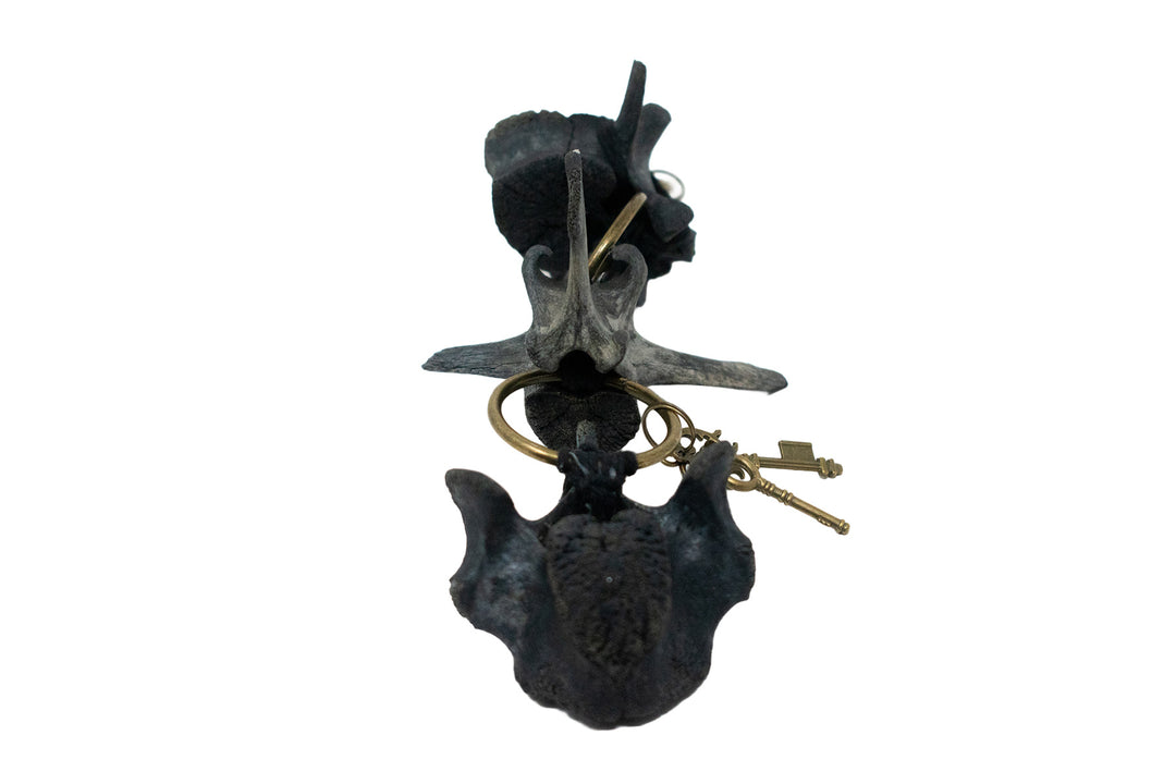 Blackened Elk Vertebra Wind Chime with Skeleton Keys