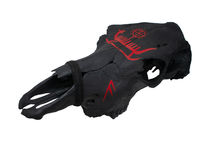 Blackened Cow Skull with Ansuz Runes and Viking Ship Petroglyph