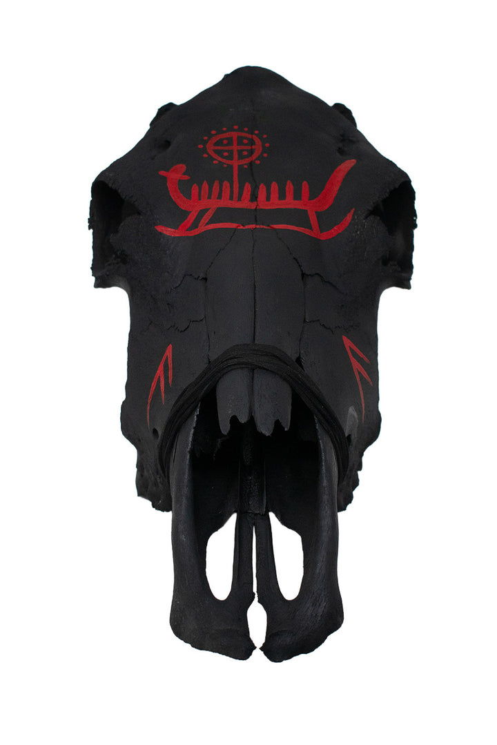 Blackened Cow Skull with Ansuz Runes and Viking Ship Petroglyph