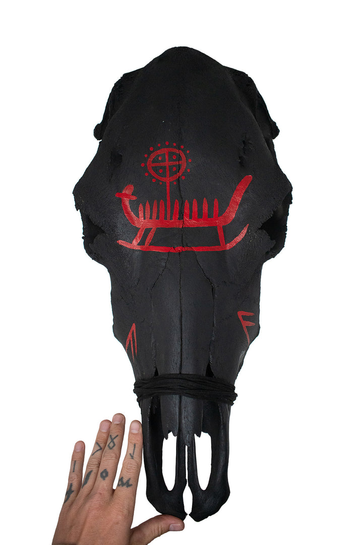 Blackened Cow Skull with Ansuz Runes and Viking Ship Petroglyph