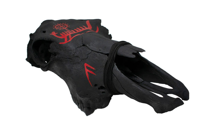 Blackened Cow Skull with Ansuz Runes and Viking Ship Petroglyph