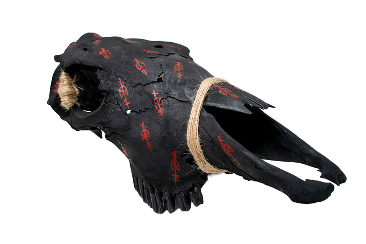 Blackened Cow Skull with Odin Bindrunes