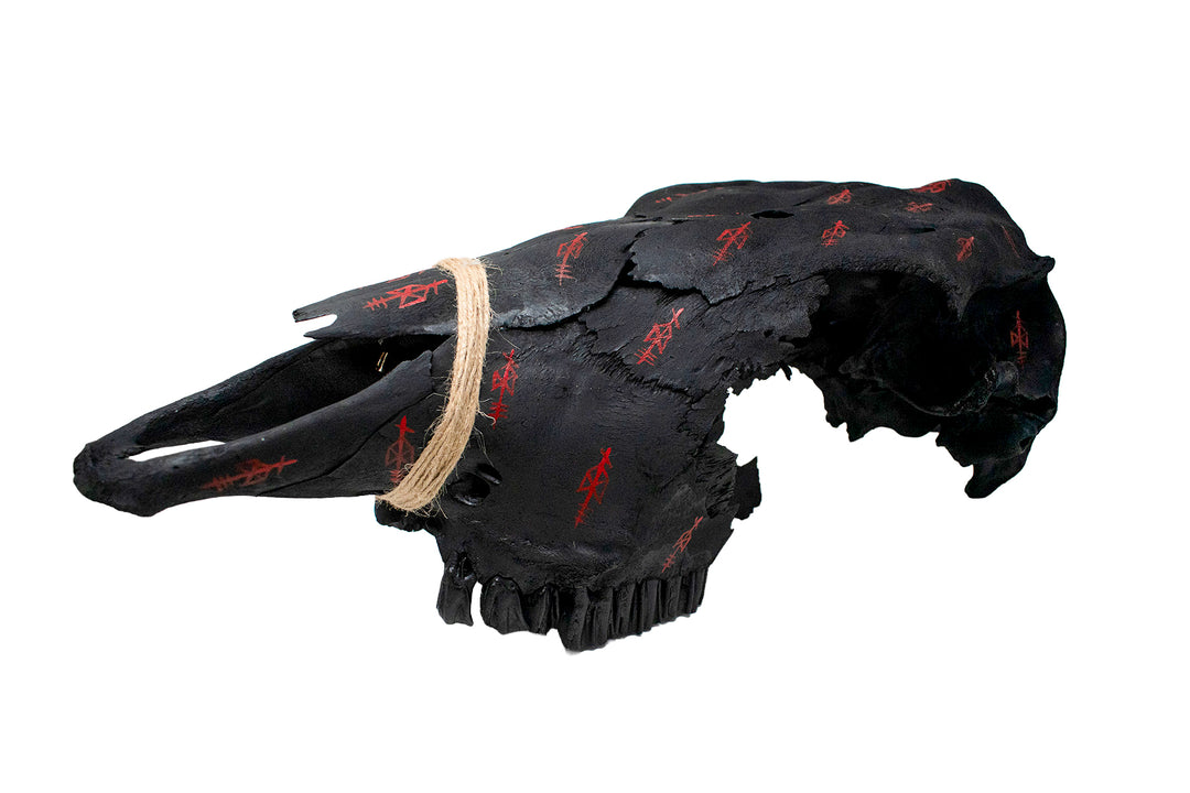 Blackened Cow Skull with Odin Bindrunes