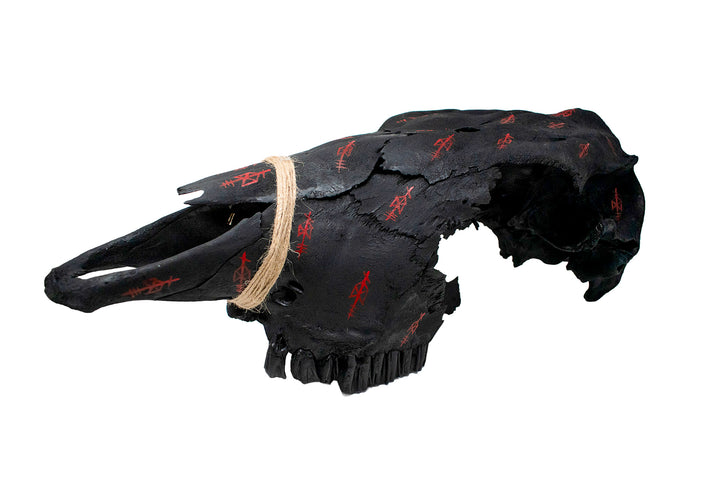 Blackened Cow Skull with Odin Bindrunes