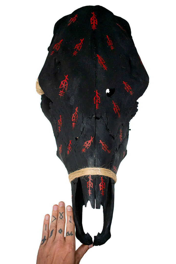 Blackened Cow Skull with Odin Bindrunes