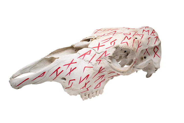 Elder Futhark Cow Skull - red runes