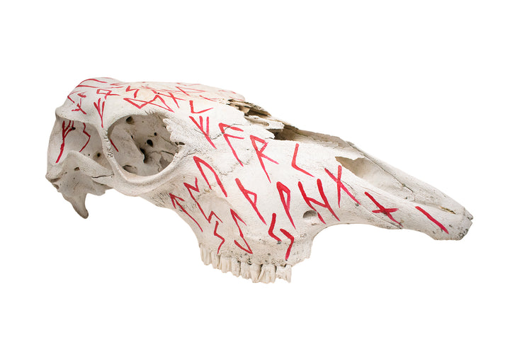 Elder Futhark Cow Skull - red runes
