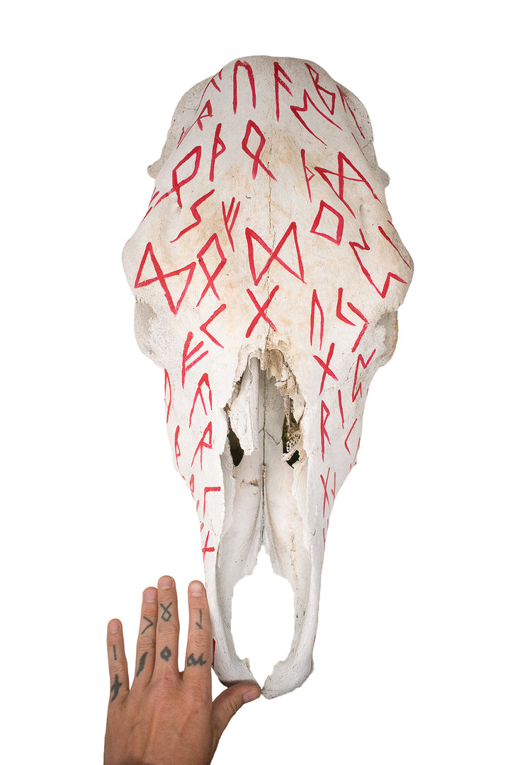 Elder Futhark Cow Skull - red runes