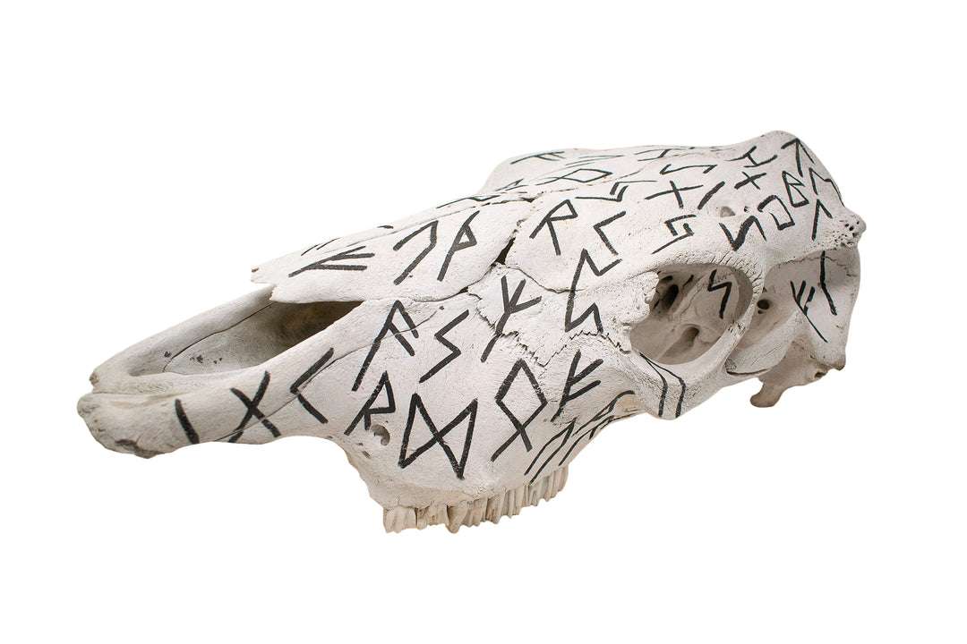 Elder Futhark Cow Skull - black runes