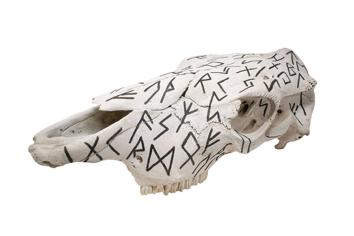 Elder Futhark Cow Skull - black runes