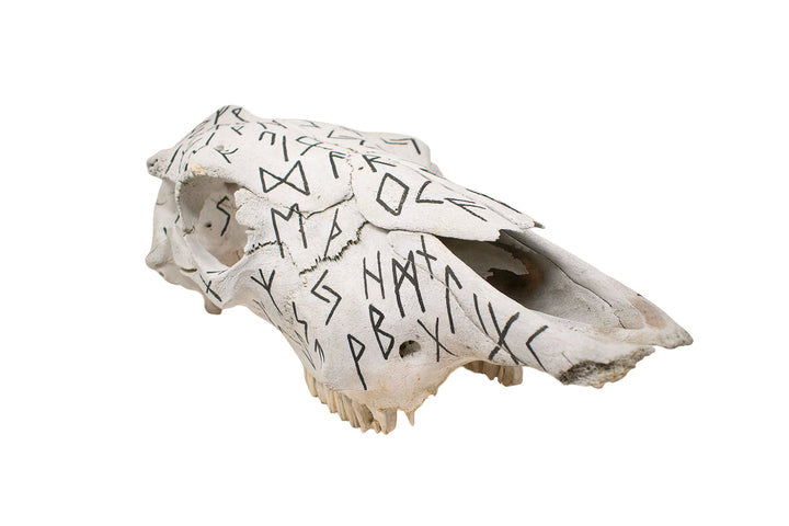 Elder Futhark Cow Skull - black runes