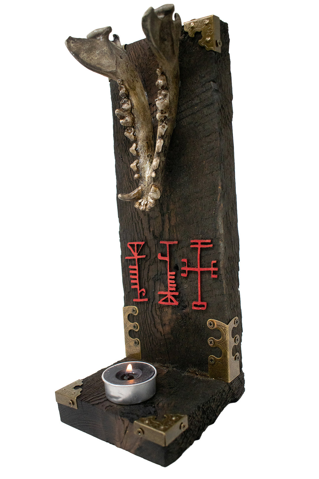 Coyote Jawbone Protection Altar