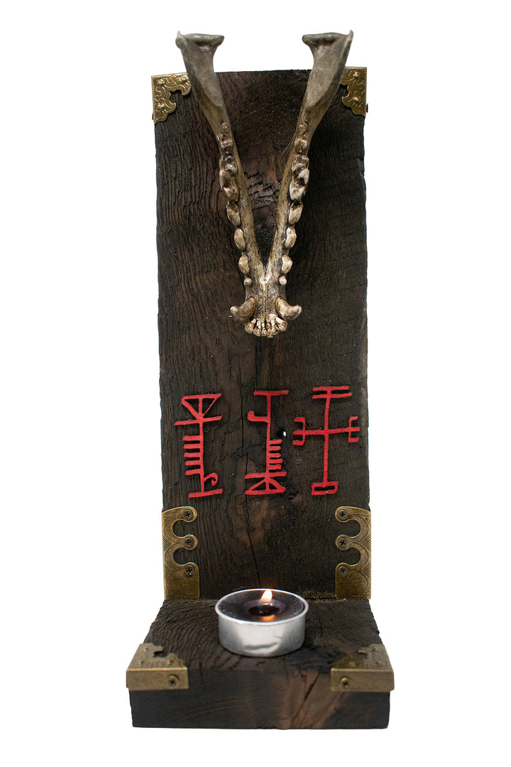 Coyote Jawbone Protection Altar