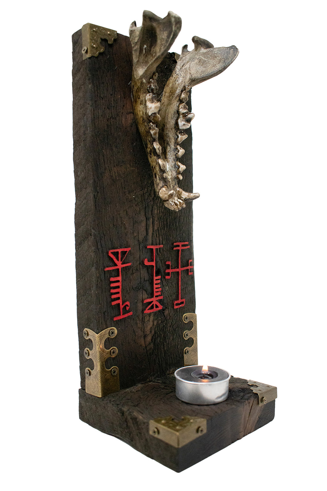 Coyote Jawbone Protection Altar