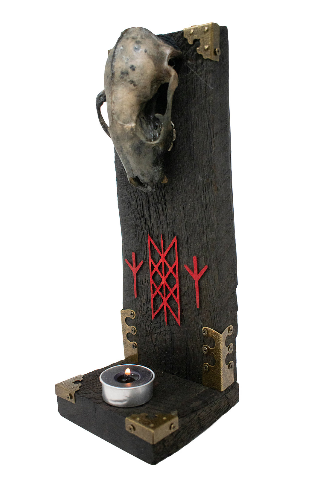 Raccoon Skull Altar with Web of Wyrd and Algiz Runes