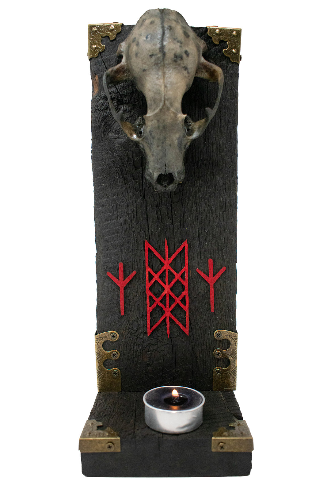 Raccoon Skull Altar with Web of Wyrd and Algiz Runes