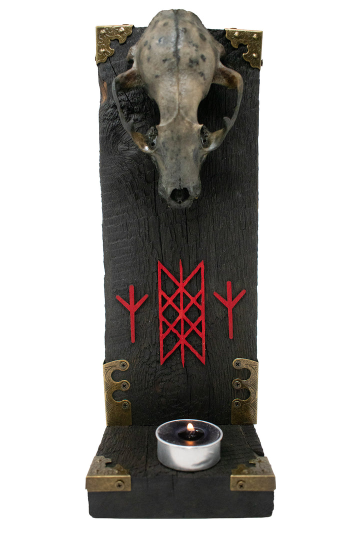 Raccoon Skull Altar with Web of Wyrd and Algiz Runes