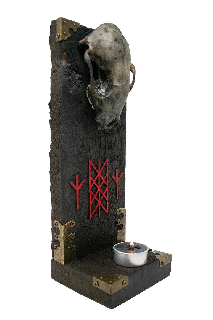 Raccoon Skull Altar with Web of Wyrd and Algiz Runes