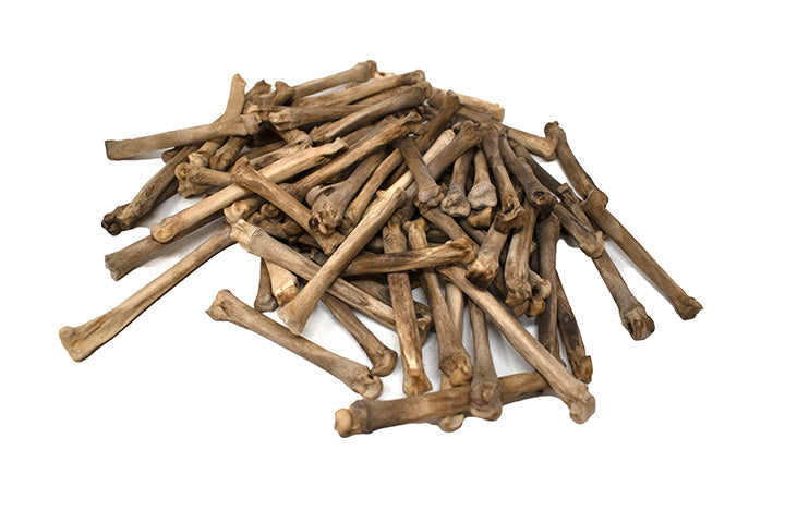 gray wolf foot bone (metacarpal)