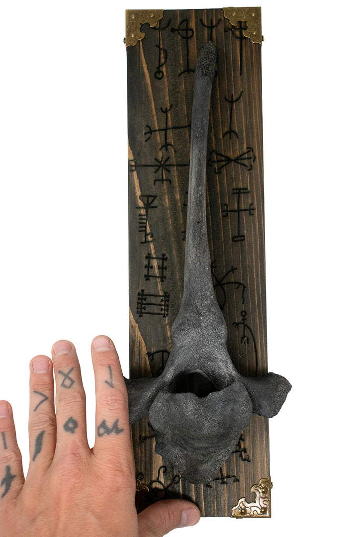 Blackened Cow Vertebra Wall Hanger with Icelandic Magical Staves