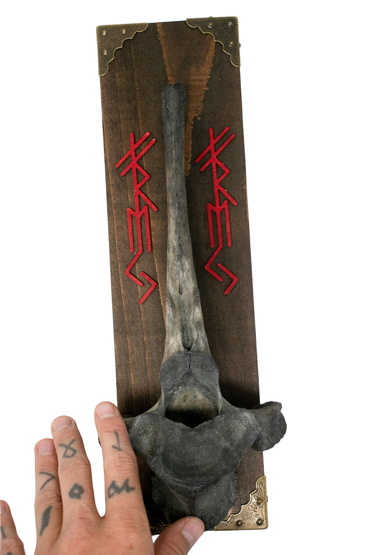 Freya Bindrune Cow Vertebra Wall Hanger