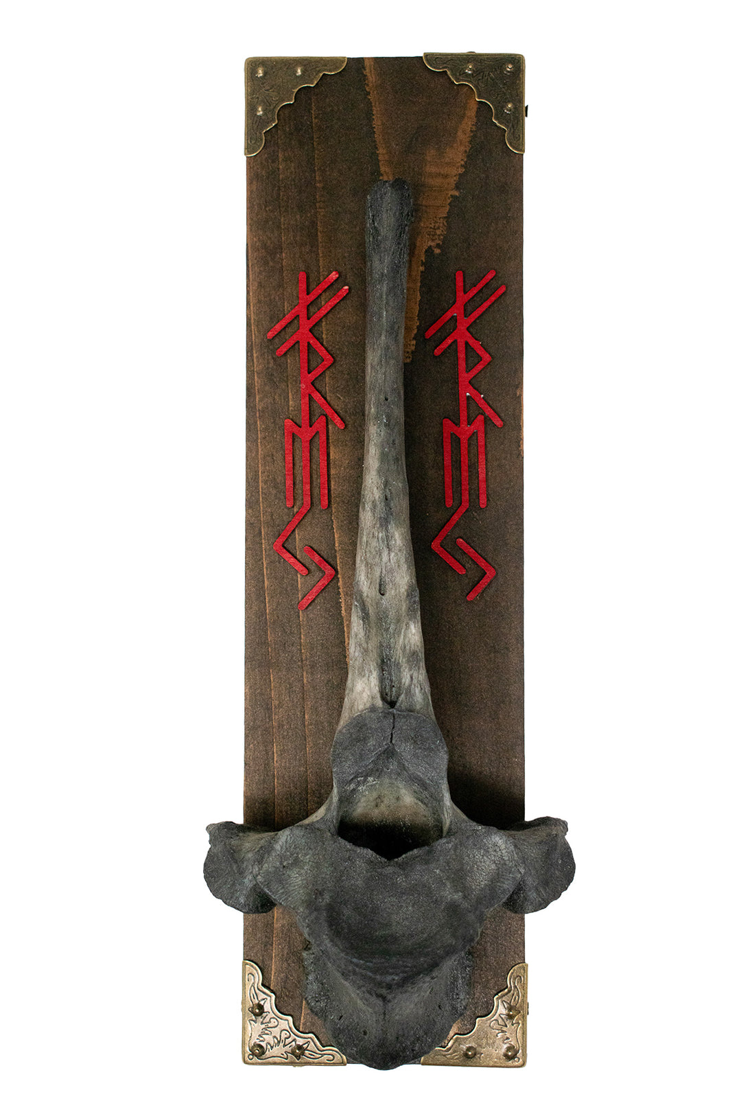 Freya Bindrune Cow Vertebra Wall Hanger