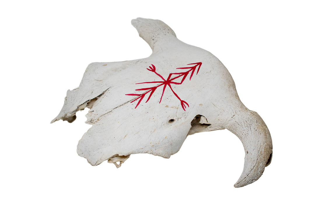 Cow Skull with Home Protection Bindrune