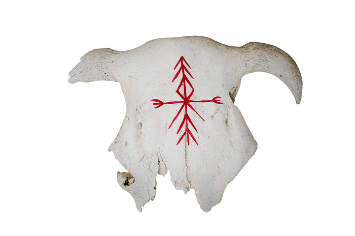 Cow Skull with Home Protection Bindrune