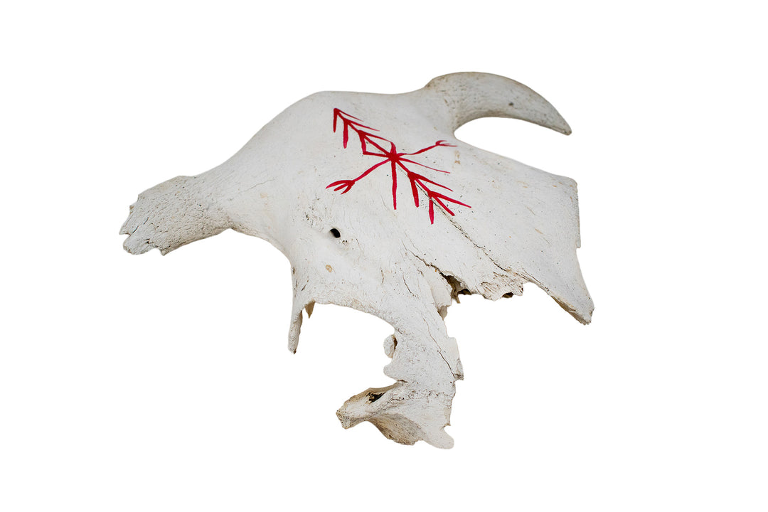 Cow Skull with Home Protection Bindrune