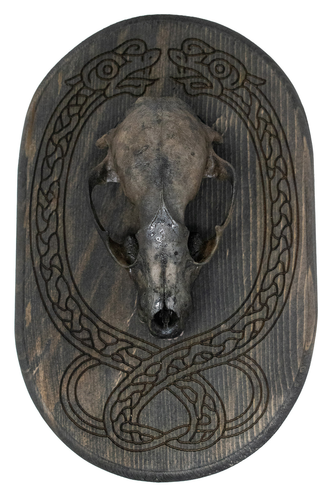 Raccoon Skull Wall Hanger with Knotwork Jörmungandr